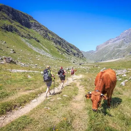 Bellecote - Superbe Chaleureux Vue Montagne * La Plagne