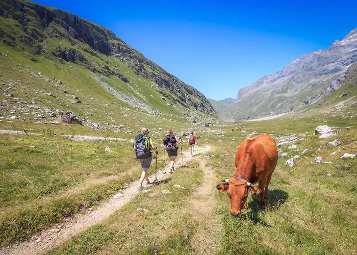 Bellecote - Superbe Chaleureux Vue Montagne * La Plagne